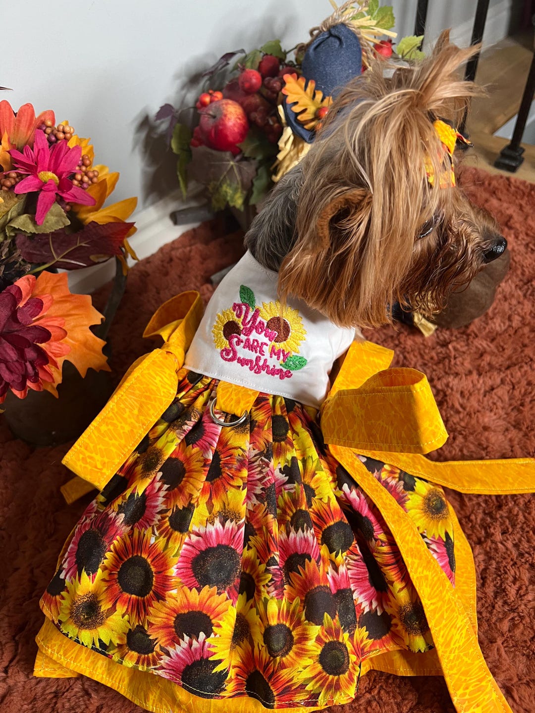 You Are My Sunshine Sunflowers Theme, Custom Harness, Pet Dress, Autumn ...