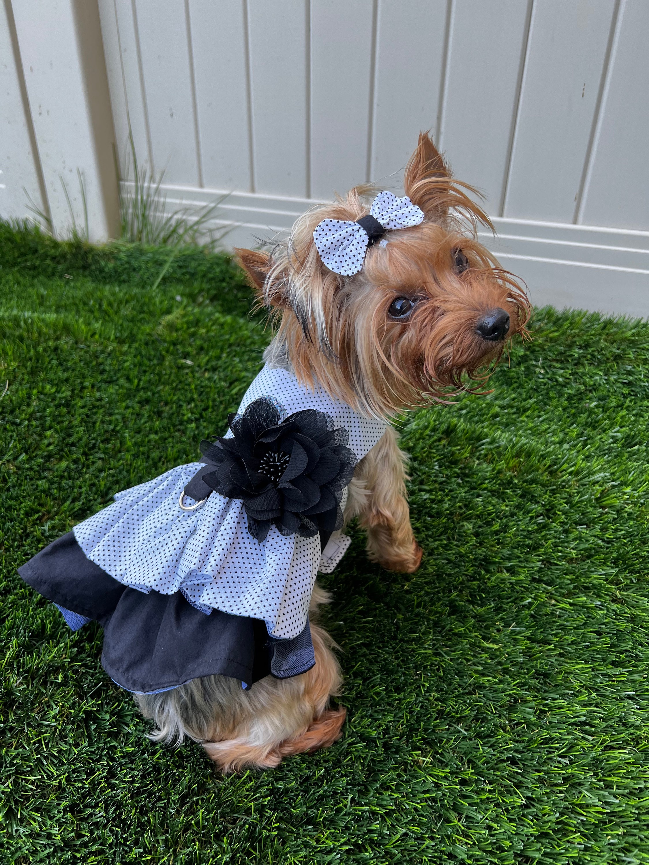 1920s dog costume hotsell