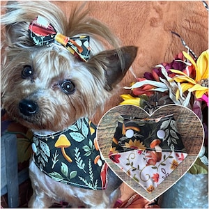 May include: A small dog wearing a fall-themed bandana and bow. The bandana features a dark background with mushroom and leaf patterns. A second bandana with a squirrel and leaf pattern is also shown. The bow matches the bandana's design.