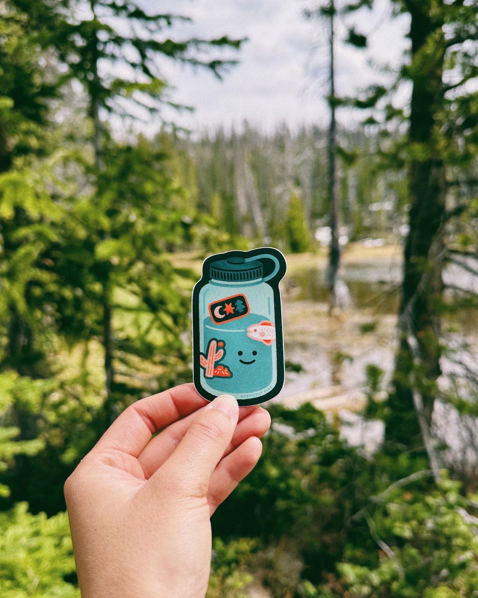 Adventure Water Bottle Sticker - Etsy