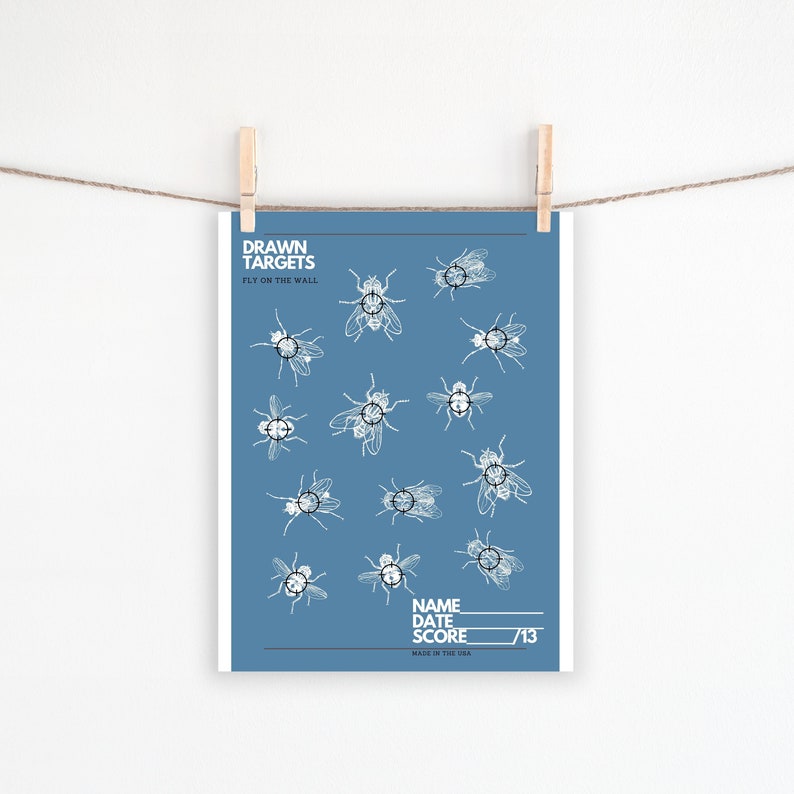 Fly Target Challenge PRINTABLE TARGET FLY, Party Target Printable, Shooting Target - Etsy