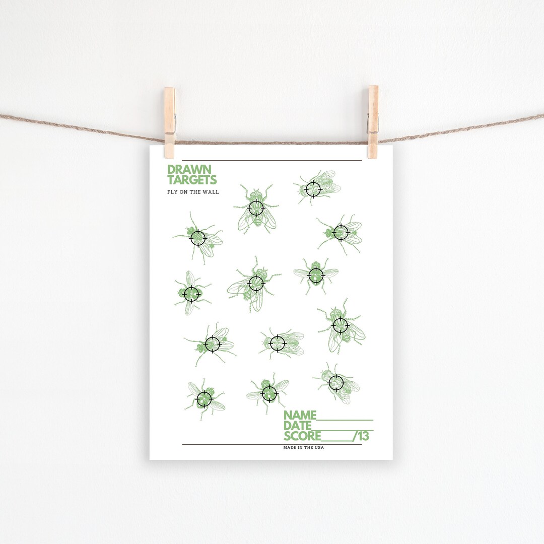 Fly Target Challenge PRINTABLE TARGET FLY, Party Target Printable, Shooting Target - Etsy
