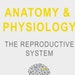 Anatomy and Physiology: the Reproductive System epub PDF Bundle - Etsy