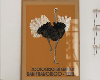Ostrich Wall Art Print – Retro Zoological Style Poster, Mid Century Modern Illustration, Bold Whimsical Bird Artwork for Eclectic Wall Decor
