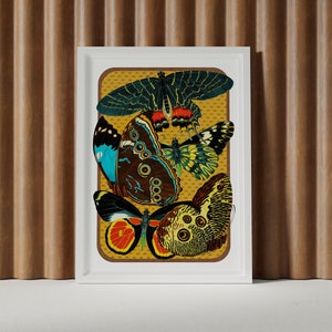 Colorful Butterfly Wall Art – Vintage Insect Print on Yellow Background, Maximalist Mid Century Modern Home Decor Framed or Unframed