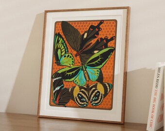 Colorful Butterfly Wall Art on Orange – Vintage-Inspired Maximalist Print, Mid Century Modern Decor for Living Room or Bedroom