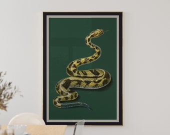 Striking Contemporary Snake on Green Background : Modern Art Interior Design, Bold Traditional Minimalistic Statement Wall Decor, XL Size