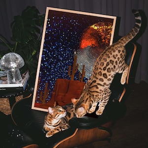Kosmische Oase Wüstenlandschaft mit Kaktus, riesiger Discokugel und Glitter Night Sky Print, perfekt für Teen Tochter
