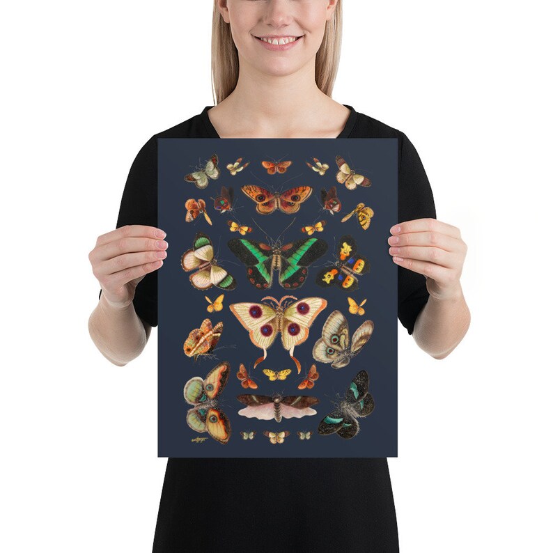 Maximalist Butterfly Illustration Specimen Poster, Eclectic Insect Statement Wall Art, Gift for Nature Enthusiasts and Entomologists 12x16 inches