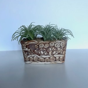May include: Rectangular ceramic planter with a detailed relief design of sea creatures and shells. The planter is filled with several green, spiky plants. The color palette is primarily beige and brown, with a light background.
