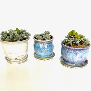 May include: Three ceramic succulent pots, one white, one blue, and one purple, with green succulents planted inside.