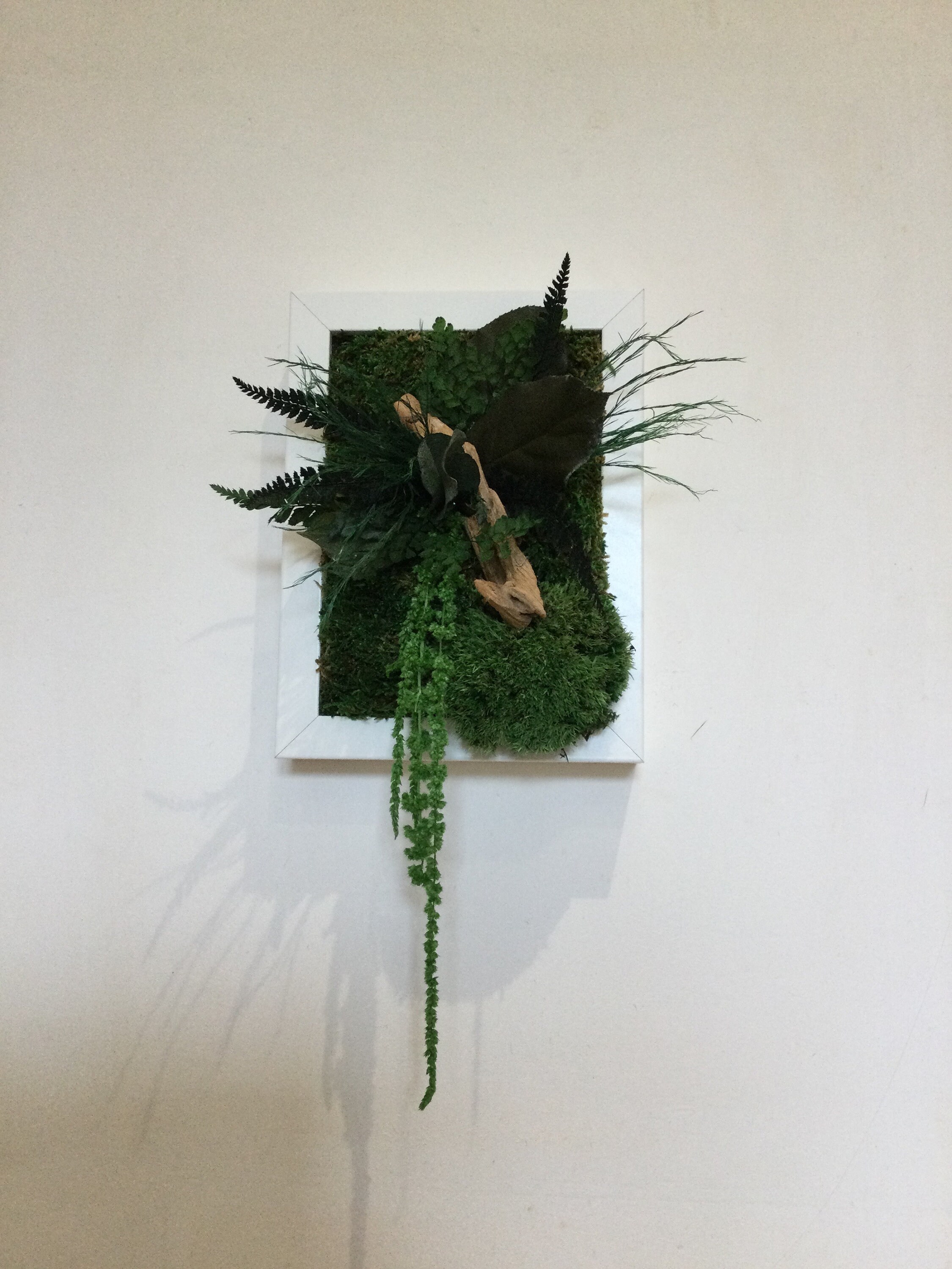 Tableau Végétal Stabilisé