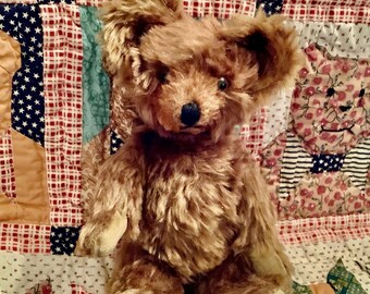 ❤️Knickerbocker❤️ l nose bear (小) 1920 1940s Knickerbocker Teddy Bear - Etsy