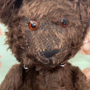 Knickerbocker Bear - Etsy