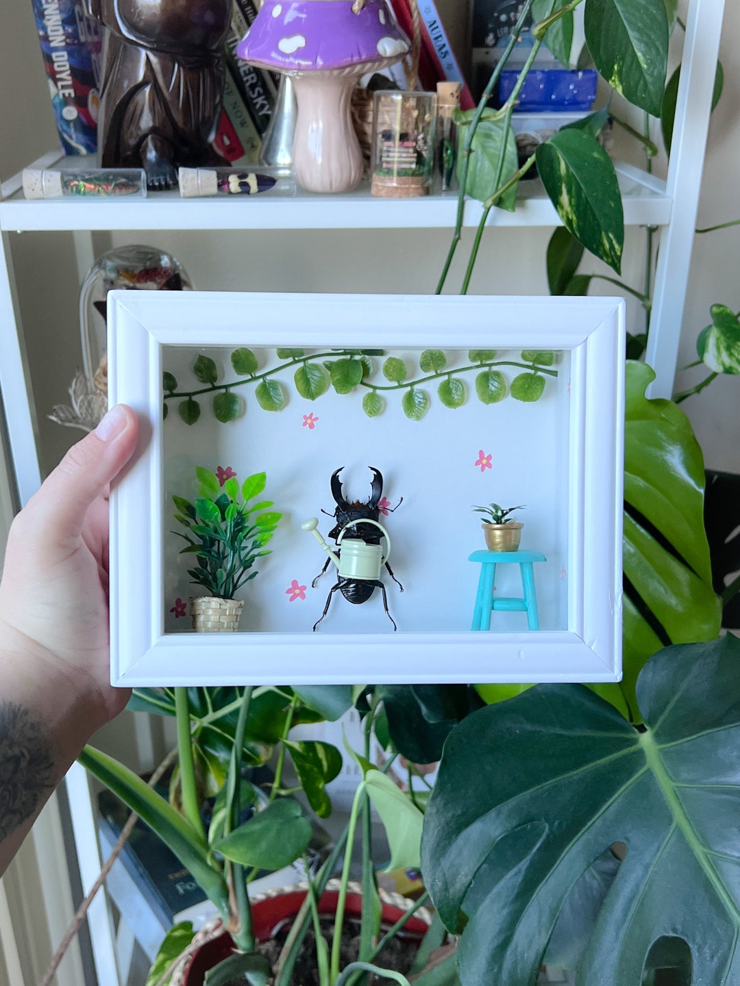 Plant Daddy Botanical Real Taxidermy Beetle Plant Lover Etsy