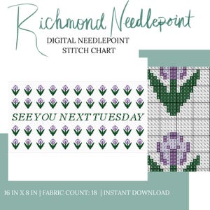 Digital Stitch Chart Needlepoint Pillow