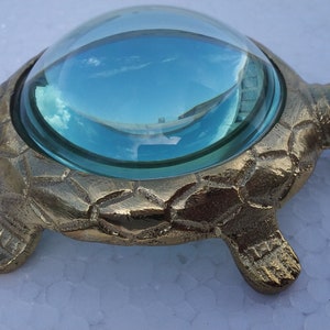 Lupe für PapierLeser | Schildkröten-Vergrößerungsglas, Landkarte, Vatertag, Geschenkartikel, Tischlupe