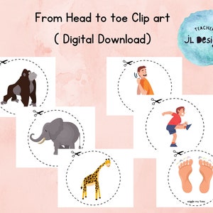 Van top tot teen door Eric Carle Clip art | Fotoverhaal | Visueel materiaal | Verhalenmand | Kleuterschool | Peuterklas