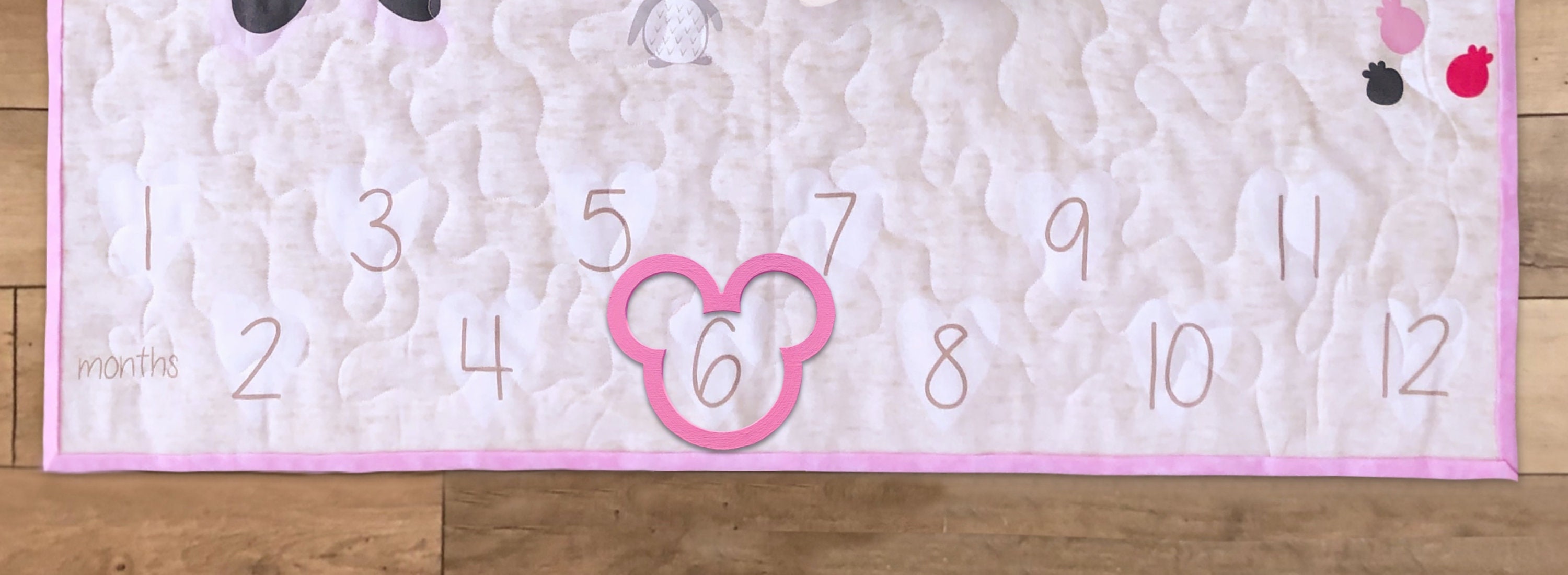 Baby Milestone Quilt, Minnie Milestone Quilt, Minnie Nursery Theme