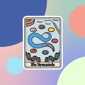 May include: A white card with a blue and pink illustration of a nematode worm. The card has the text "The Nematode" at the bottom.