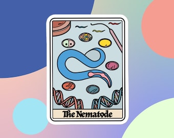 May include: A white card with a blue and pink illustration of a nematode worm. The card has the text "The Nematode" at the bottom.