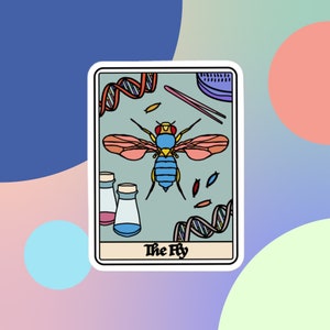 Peut inclure: Un autocollant avec une illustration colorée d'une mouche aux accents bleus, orange et jaunes, sur un fond vert clair. Le design comprend des brins d'ADN, des flacons de laboratoire et le texte "The Fly".