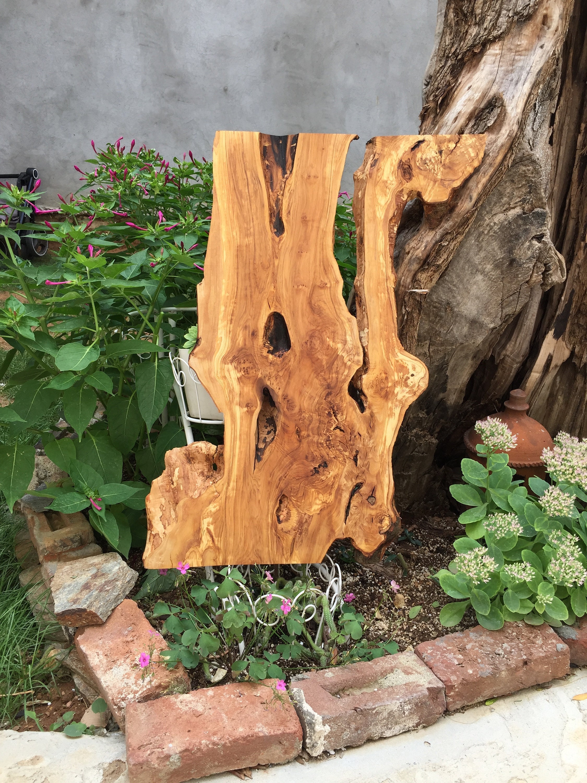 Live Edge Wood Slabs Olive Wood Slablive Edge Raw Wood Live Etsy UK
