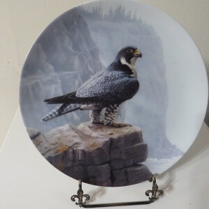 May include: A white porcelain plate with a detailed painting of a peregrine falcon perched on a rock cliff. The falcon is facing right and has a gray and black plumage. The background is a misty gray with a hint of blue.