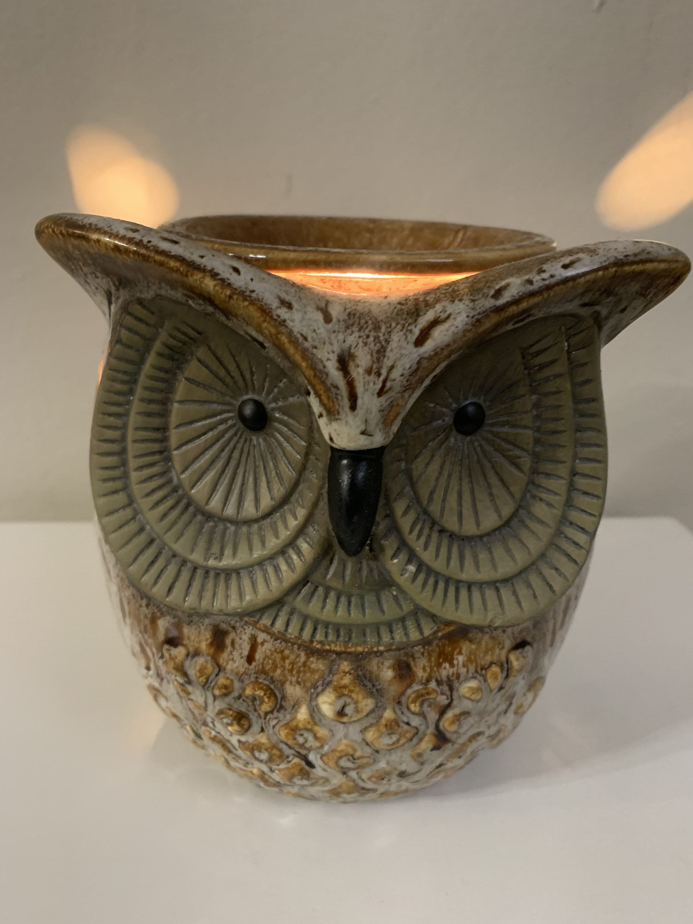 New in box harry potter scentsy warmer owl