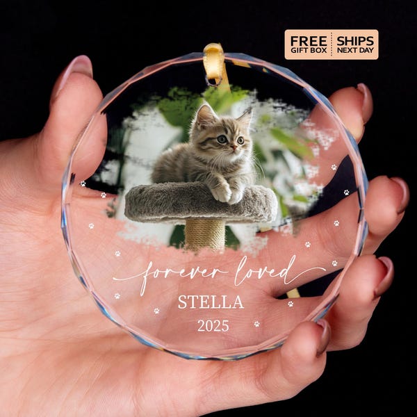 Custom Cat Glass Ornament • Pet Memorial Gift • Gifts for Loss of Cat