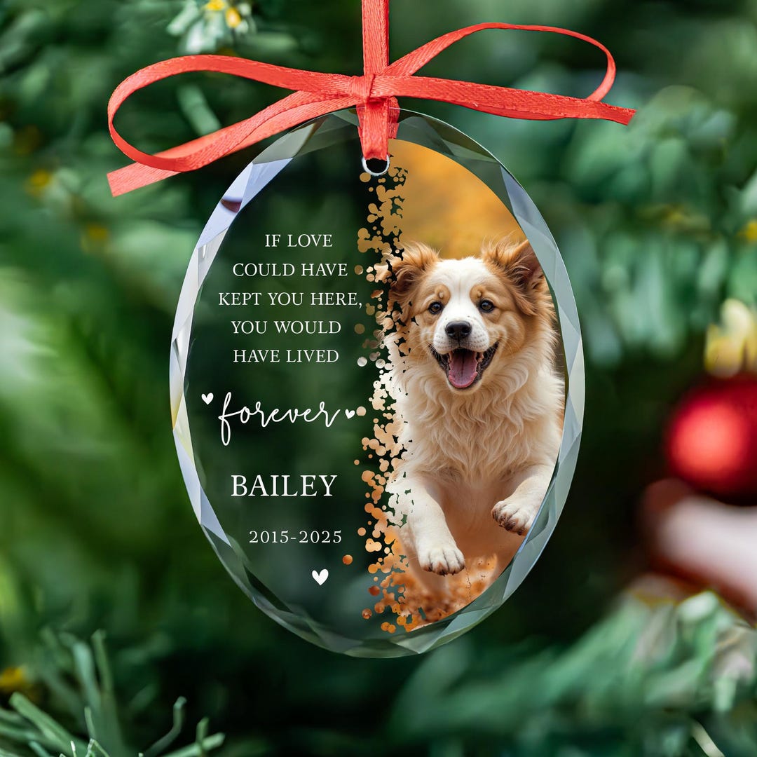 Dog Memorial Glass Ornament • Dog Remembrance Gift • Custom Pet ...