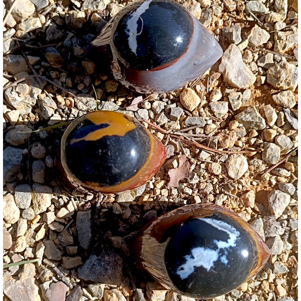 Agate oeil de cyclope, œil de Shiva, sardonyx, Lithothérapie, 3e oeil