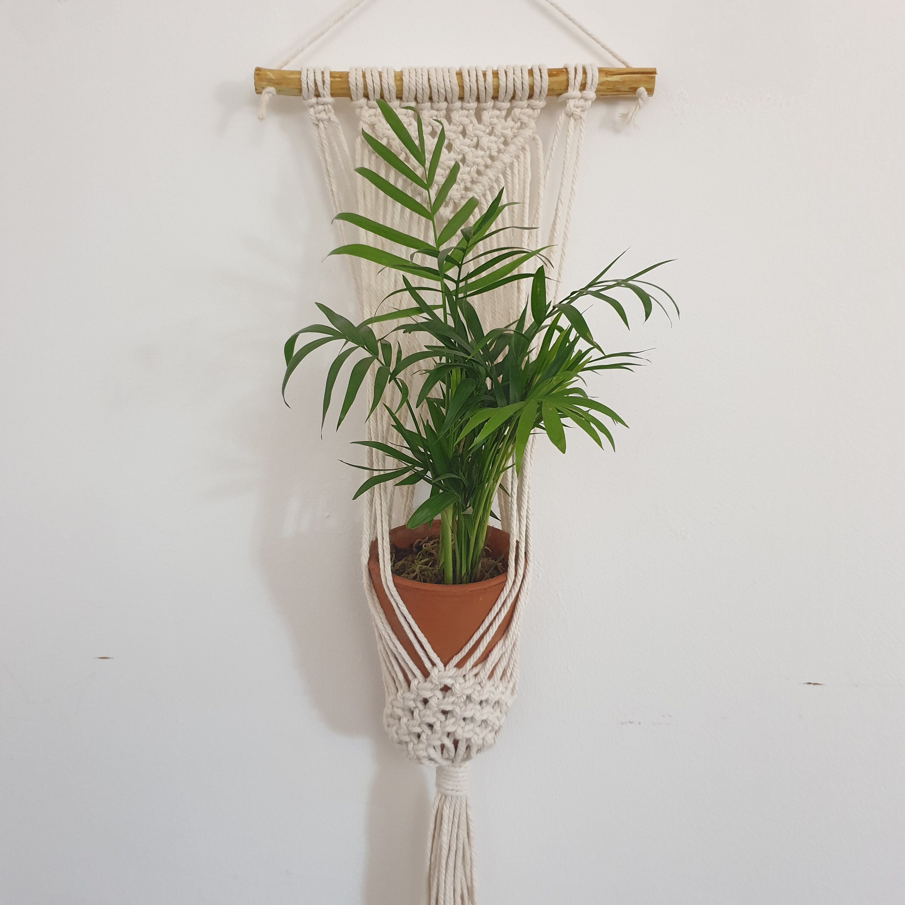 Suspension Pour Plante