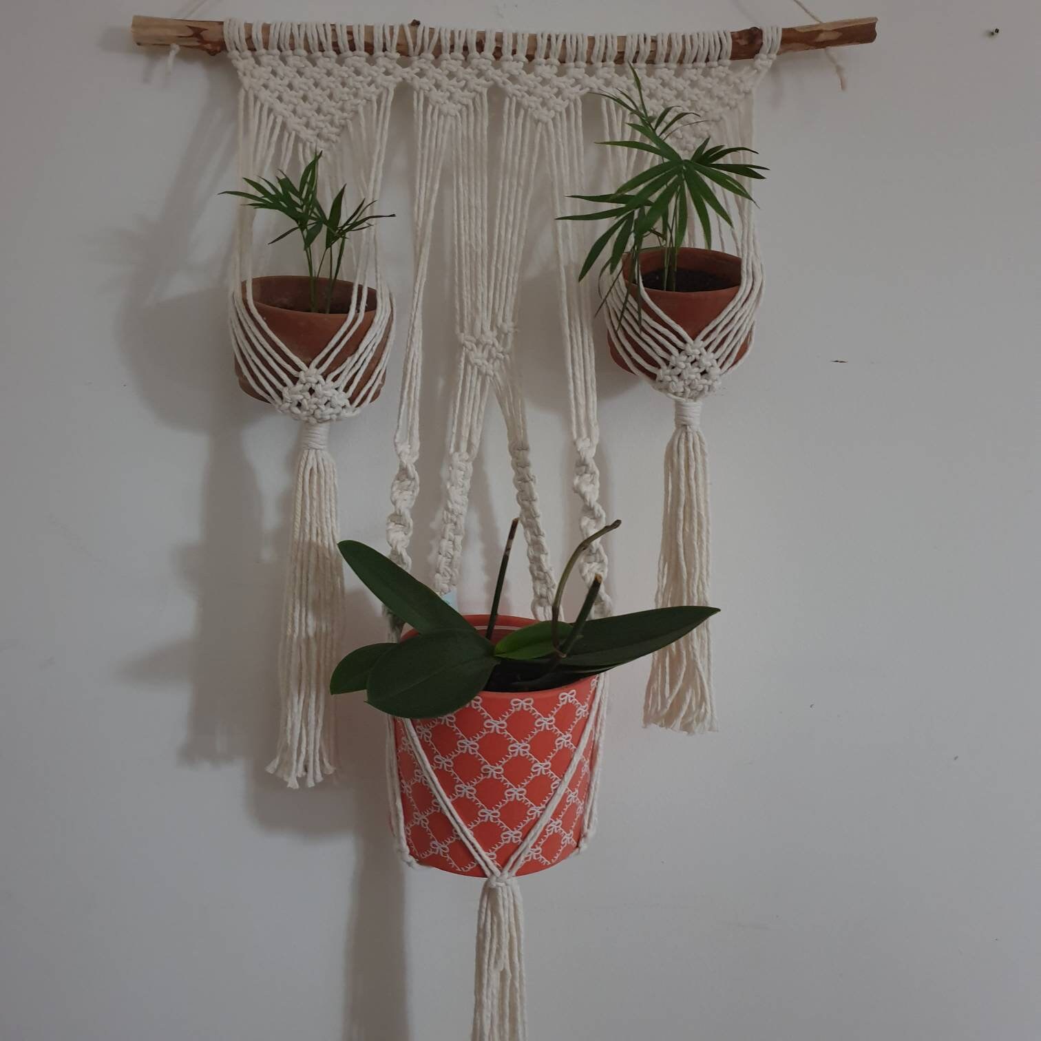 Grande Suspension Murale Plante