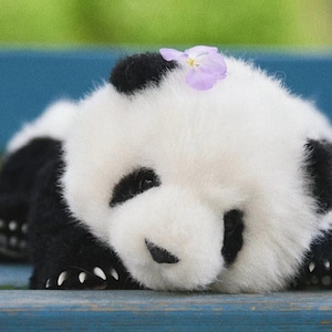 May include: A small, black and white panda bear cub with a purple flower on its head is lying on a blue wooden surface. The cub's eyes are closed and it appears to be sleeping.
