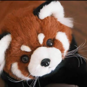 Skelett Röd Panda Ver.2, Symönster, ENDAST PDF-mönster