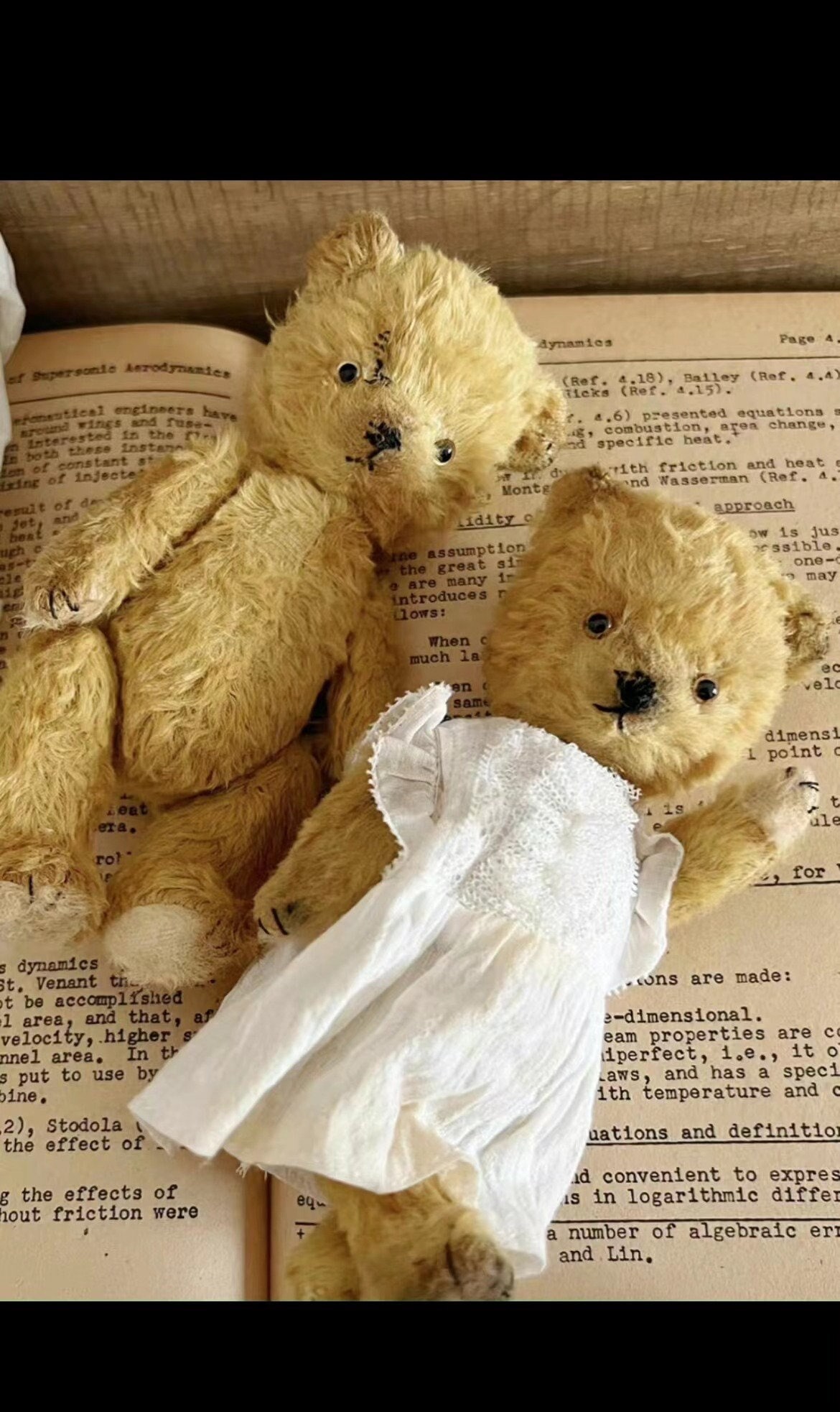 ♥イングランド製　ヴィンテージ　キュートなテディベア　ラバードール♥ ◇テディベア ハロッズ 2008年 LANDS'END GUND ランズエンド