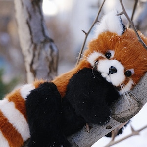 Op de afbeelding: Een rode panda pluche speelgoed met witte strepen en zwarte poten ligt op een tak. Het speelgoed heeft een pluche rood-witte staart en kijkt naar de camera.