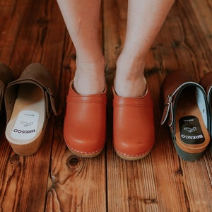 Wooden clogs with decorative stripe and brown vegan leather and real wooden sole for women and men from BrescoClogs