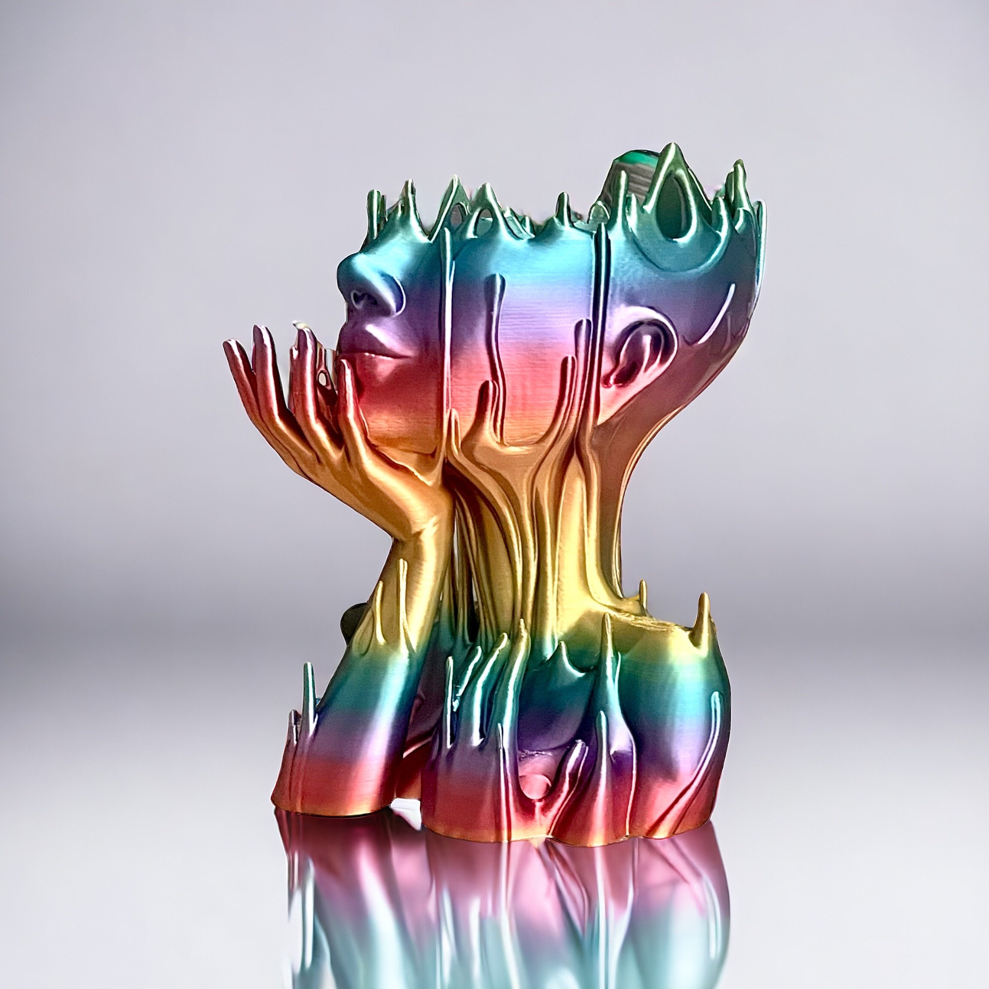 Medusa Head Planter: 3D Printed Melted Woman Face Flower Pot