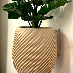 Puede incluir: Un macetero de cerámica beige con un patrón de espiral con una planta verde frondosa en su interior. El macetero está montado en una pared blanca.