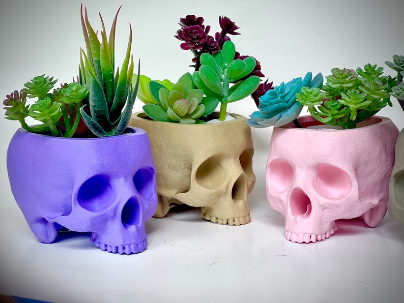 May include: Four skull-shaped planters in purple, beige, pink, and white, each filled with a different type of succulent plant.