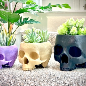 May include: Three skull-shaped planters in different colors, purple, beige, and black, with green succulents planted inside.