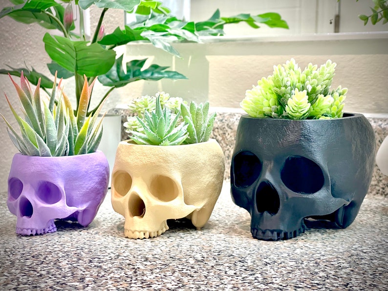 May include: Three skull-shaped planters in different colors, purple, beige, and black, with green succulents planted inside.