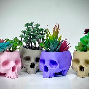 May include: Four skull-shaped planters in pink, gray, purple, and beige, each holding a different type of succulent plant.
