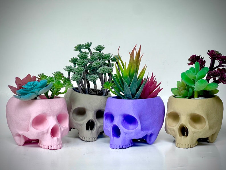 May include: Four skull-shaped planters in pink, gray, purple, and beige, each holding a different type of succulent plant.