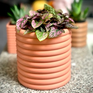 Modern Succulent Planter Pot: The Poppy with Hidden Drip Tray