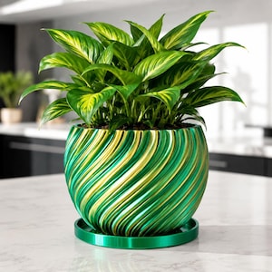 Può includere: Un vaso per piante con motivo a spirale verde e oro e un sottovaso circolare abbinato. Il vaso contiene una rigogliosa pianta da interno con foglie verdi appuntite caratterizzate da una marcata variegatura giallo-verde sul fogliame.