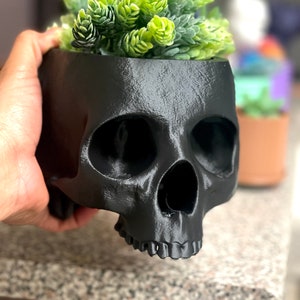 Puede incluir: Un macetero negro en forma de calavera con una pequeña planta suculenta creciendo en su interior. El macetero está hecho de un material negro mate liso y tiene un diseño de calavera realista.