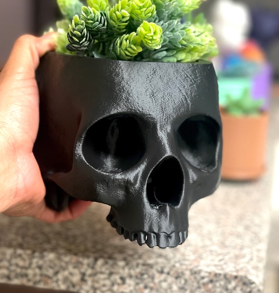 Skull Succulent Planter Pot: Goth Cottagecore Desk Decor